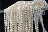 Natural Pearl Loose Beads Rice Freshwater Pearl One Full Strand