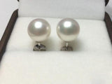 AAA+ 7-8MM Akoya Pearls Earrings 925 Sterling Silver