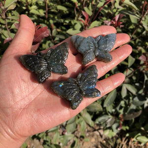 Labradorite Butterfly Necklace Pendant Carved Statue Gem Figurine Crystal Gift