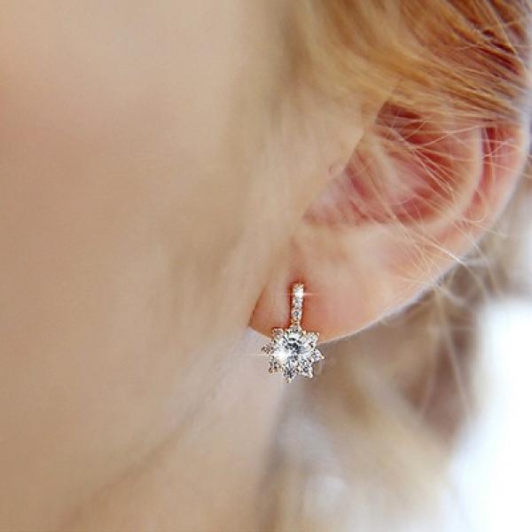 High Zircon 925 Silver Earrings For Women