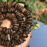 8-12mm Natural Bronzite Stone Freeform Dondelle Chips Beads