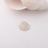30pcs Sea Shell Shape Jewelry Charms DIY Ornaments Acrylic Necklace Pendants