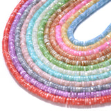 185Pcs 6mm Multicolor Shell Beads for Jewelry Making