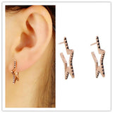 925 Silver Star Shape Cz Stud Earrings Women Wedding Gift