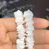 Shell Chip Beads Freshwater Mother of Pearl Beads For Jewelry Making