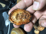20Pcs Gobi Desert Lacquer Old PiShi Stone Jewelry Golden Jade Image Texture
