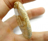 Natural Stone Quartz Crystal Turquoises Pendant for DIY Necklace