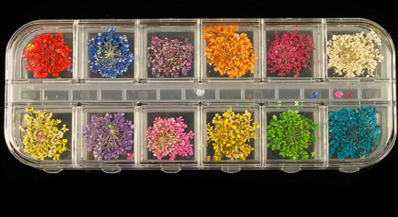 36pcs Natural Dry Flowers for DIY Decoration Glass Bottle Jewelry Accessories