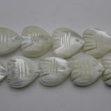 Trochid Shell Bead Mother Of Pearl for Jewelry Making DIY