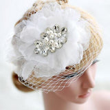 Vintage Birdcage Wedding Veil with Hairpins