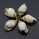 Shell Pendant Snail Conch Charms for Jewelry Making 1-2cm