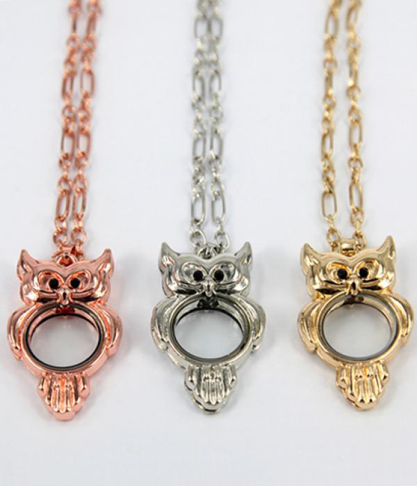 6pcs Mixed 35mm*40mm Owl Locket Pendants for Women
