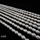Freshwater Pearl Loose Beads 5-6mm DIY Jewelry Making