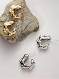 Metal Earrings for Women, Fashionable INS Earrings