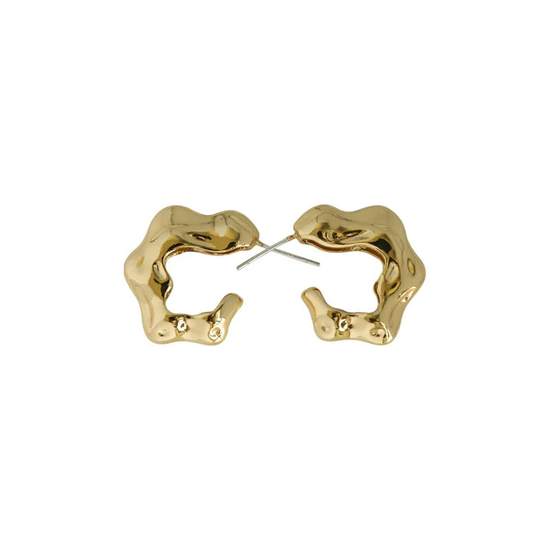 Metal Earrings for Women, Fashionable INS Earrings