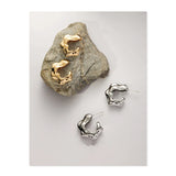Metal Earrings for Women, Fashionable INS Earrings
