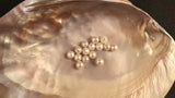 Freshwater Carved Pearl Loose 8mm - Women Dressing