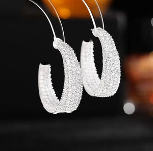 Zircon Inlaid Silver Needle C Ring Women Ear Jewelry