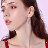 925 Silver Dangling Hook Earrings for Women