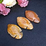 Coral Jade Carved Fish Pendant for DIY Jewelry Making