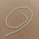 Mini Rice Freshwater Pearl Beads, Oval Shape, 3-4mm Strand