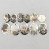 Oval Shape Shell Beads Natural Shell Beads DIY Loose Beads