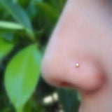 36pcs 925 Sterling Silver 1.5mm Ball Nose Pin Bone Nostril Stud Piercing