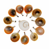 Natural Shell Stone Pendulum Snail Charms 12pcs
