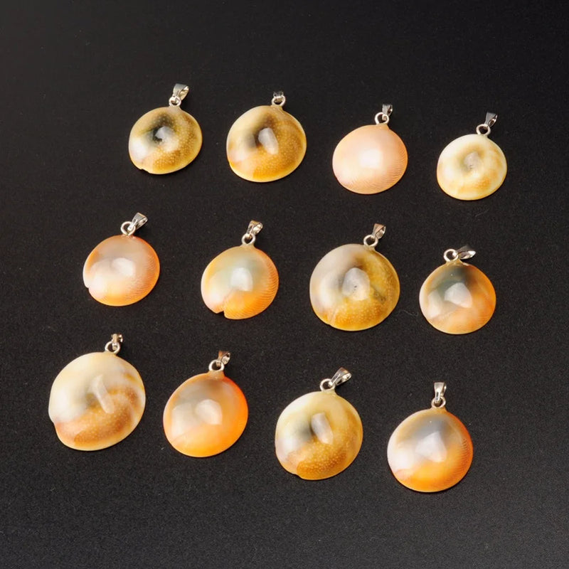 Natural Shell Stone Pendulum Snail Charms 12pcs