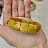 Poland Picture Jaspers Silicified Wood Stone Bracelet