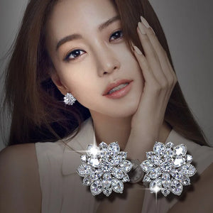 925 Silver Flower Zircon Earrings Exquisite Feminine Jewelry