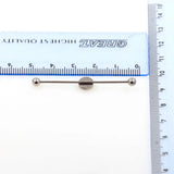 Skull Skeleton Logo Industrial Barbell Piercing 10pcs