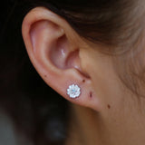 925 Silver Chrysanthemum Stud Earrings