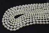 Freshwater Pearl Drop Egg 8-12mm for DIY Jewelry Loose Beads