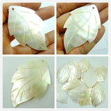 Natural Sea SHELL Leaves Pendant Beads Necklace Jewelry 5PC
