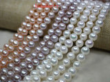 Pink Purple Freshwater Pearl Loose Beads 15 Inches