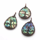 Copper Wire Tree of Life Abalone Shell Pendant Jewelry