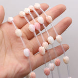 Natural Shell Buds 8x10mm 15 pcs for DIY Jewelry
