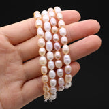 Natural Pearl Round Beads Bracelet for DIY Jewelry Making