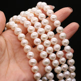 Natural Freshwater Pearl Round Beads DIY Necklace Bracelet Jewelry