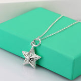 925 Silver Star Necklace for Men, Boyfriend Gift